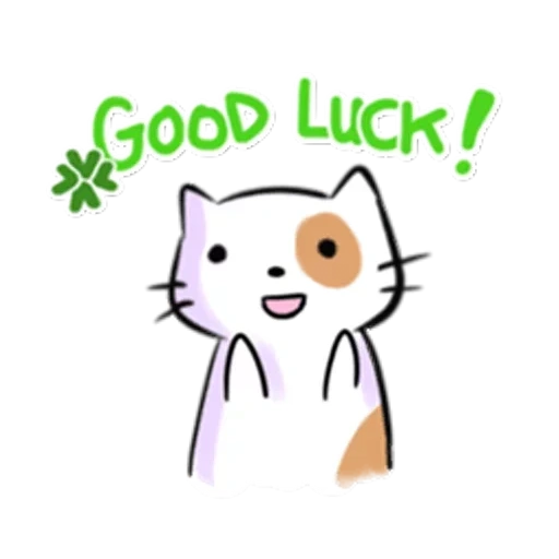 cats, good luck, cute cats, kavay cats