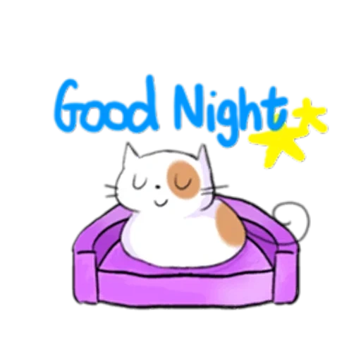 cat, good night, good night boy, good night sweet, iscrizione della buonanotte
