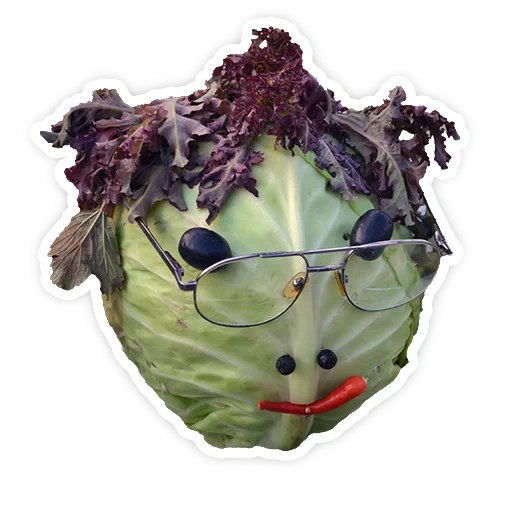 cabbage, cabbage, early cabbage