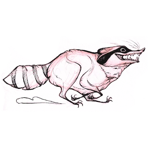 rattrapage, maître raton laveur, simkaye raccoon, dessin de raton laveur, illustration de raton laveur