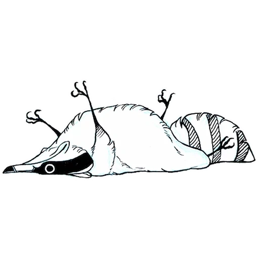 maître raton laveur, simkaye raccoon, dessin de raton laveur, par simkaye raccoon, illustration de raton laveur