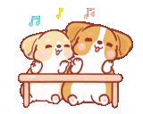 Corgi KaKa 🐶 @cocopry