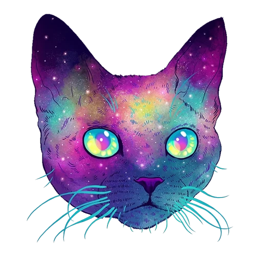 cat, kucing kosmik, cosmo seal