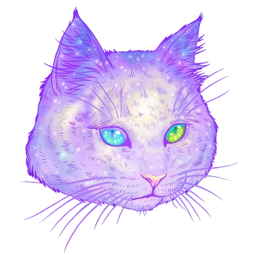 cosmos cat, il gatto è viola, gatti spaziali, violet cat, musizzio di gatti viola