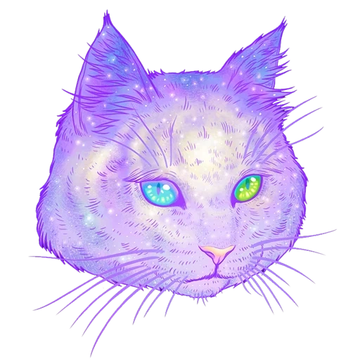 gato cósmico, gato roxo, gato cósmico, gato roxo, rosto de gato roxo