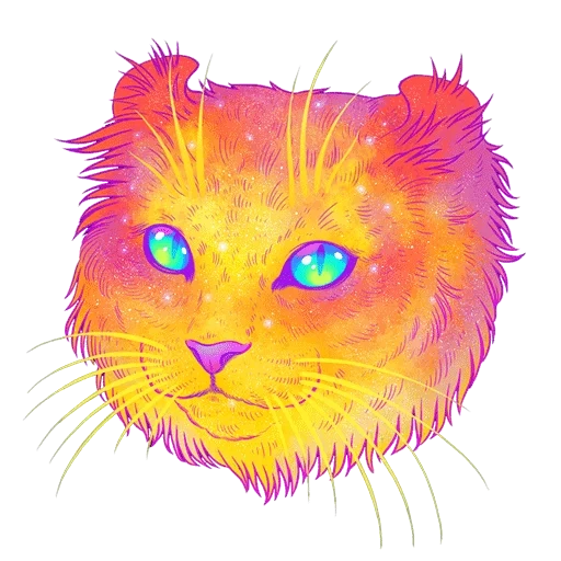 kucing, kucing cosmo, rainbow cat, seni kosmik kucing, rainbow cat face