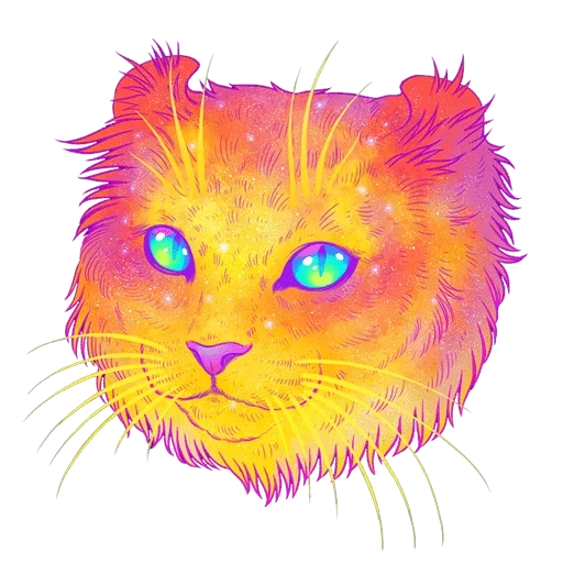 cat, cosmo cat, the cat is rainbow, cat cosmos art, rainbow cat morda