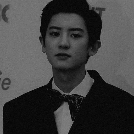 guy, chanel, pak chanyeol, chanyeol exo, korean actors