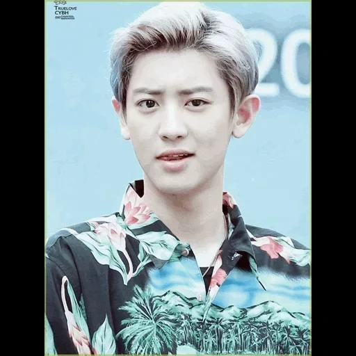 chanyol vi, esso canel, park chang-lie, chanyeol exo, park chanyeol