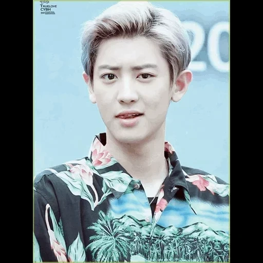 chanyeol v, exo chanel, pak chanyeol, chanyeol exo, park chanyeol