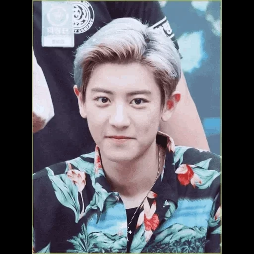 canel, park chang-lie, chanyeol exo, park chanyeol, chanel sweetheart
