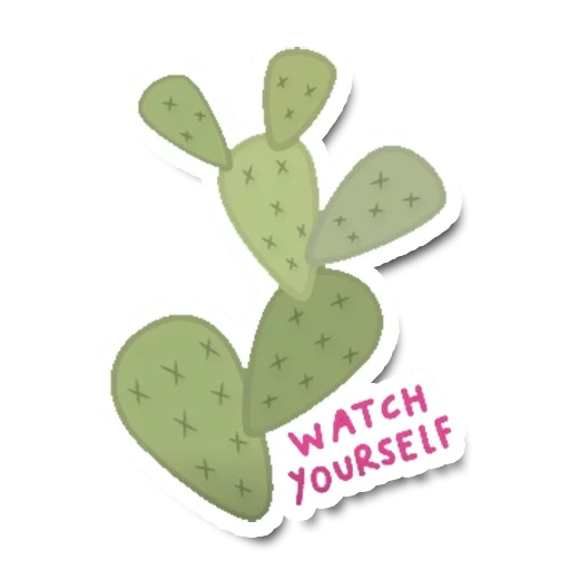 cactus, flat cactus, logo cactus, cactus optionia, cactus without a background