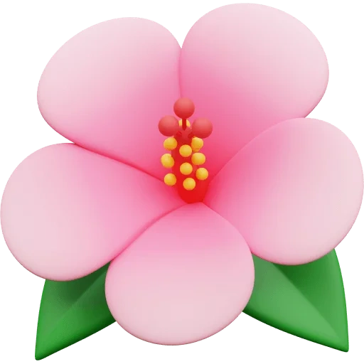 flor rosa, flor smiley, flores em um fundo transparente, flores havaianas, adesivo de flor