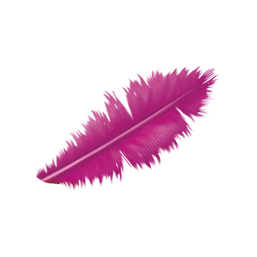 the feathers of a bird, feather decoration, feather pink, ostrich feather, ostrich feathers 15-20cm red