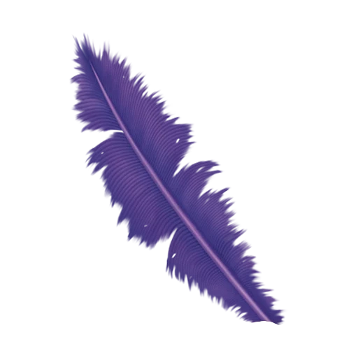 clipart bulu, bulu berwarna, bulu ungu, bulu dekoratif, feather drawing clipart violet