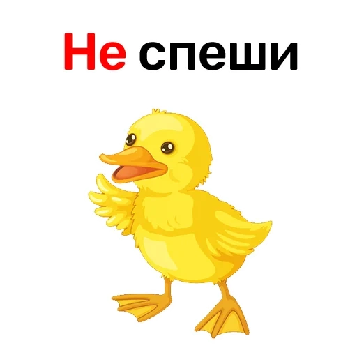 duck, duckling, yellow duck, duck duckling, baby duckling