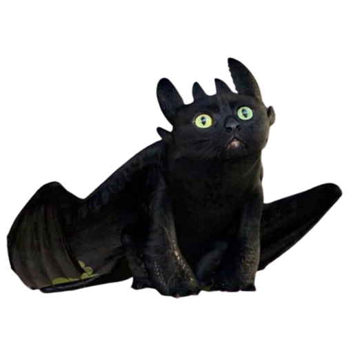 no, il drago è insolito, gatto nero senza denti, furia notturna iniziale