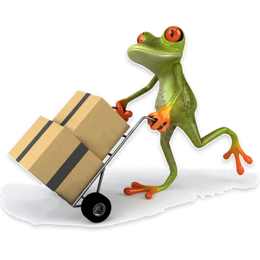 una rana divertente, la rana è un regalo, illustrazione della rana, viaggiatore di rana, la rana è una valigia del programma