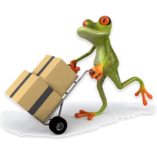 ein lustiger frosch, der frosch ist ein geschenk, froschillustration, froschreisender, der frosch ist ein koffer des zeitplans