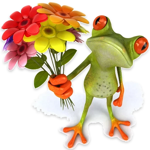 лягушки, веселые цветы, весёлая лягушка, лягушонок дарит цветы, frog with flower wallpaper