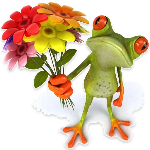 frösche, lustige blumen, lustiger frosch, der frosch gibt blumen, frosch mit blume tapete