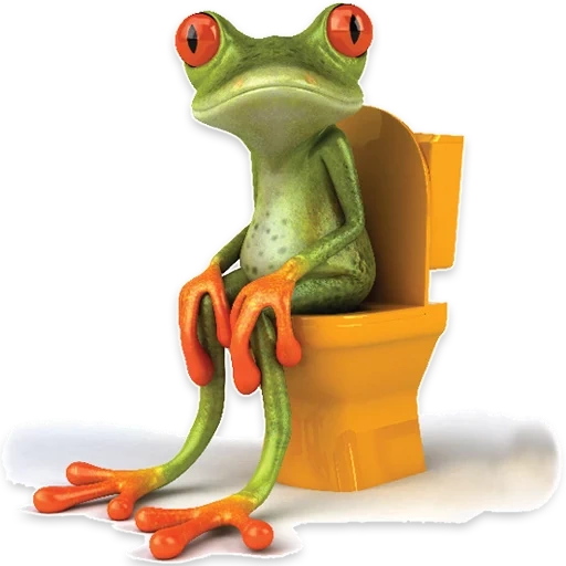 toilette rospo, la rana è igienica, la rana è igienica, il toilette della rana 3d, il rospo si siede nel bagno
