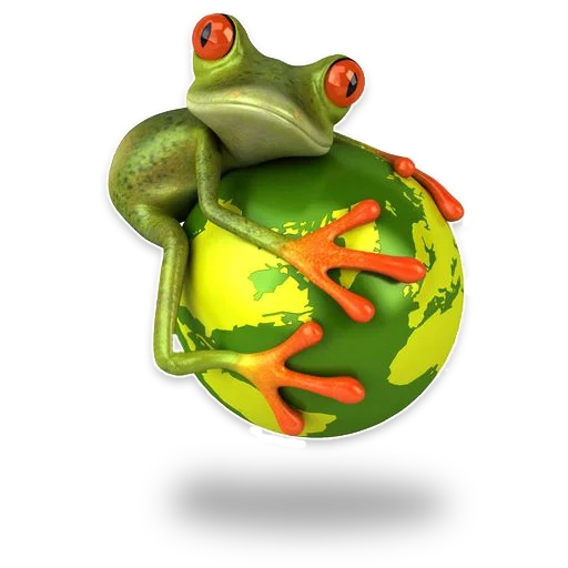 toad, frog, frog 3d, white frog, frog rainbow bottom