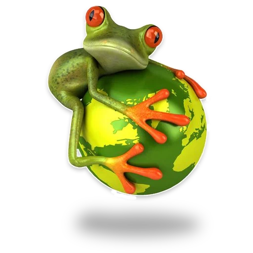 kröte, frosch, frosch 3 d, frosch mit einem weißen hintergrund, ein frosch mit einem regenbogenhintergrund