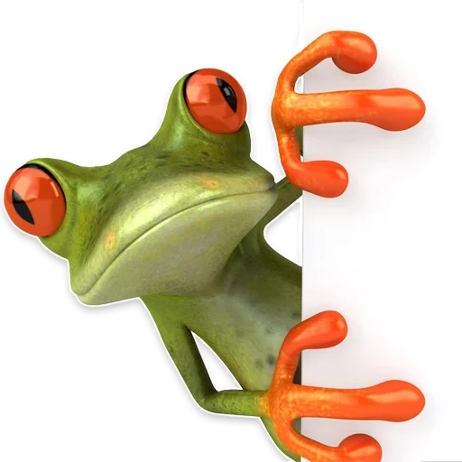 toad frog, frog stick, white frog, funny 3d frog, crazy frog