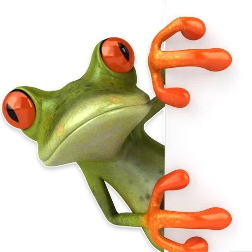 zhaba frog, der frosch mit einem stock, frosch mit einem weißen hintergrund, lustige 3d frösche, verrückter frosch