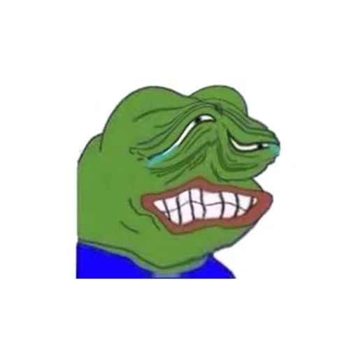 pepe, junge, pepelaugh, pepe frosch, pepe lacht