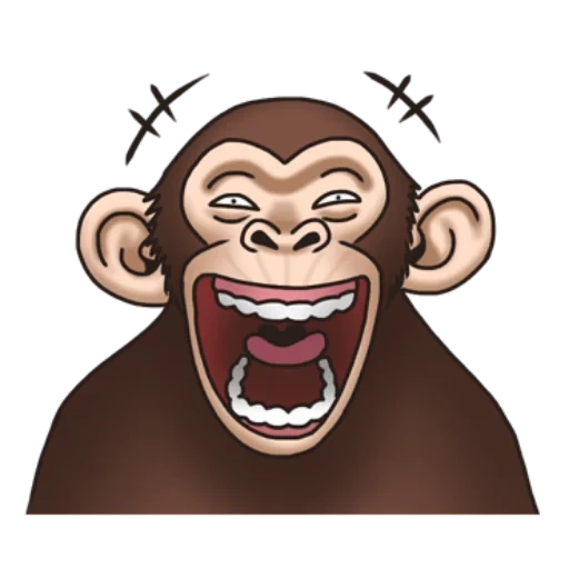 una scimmia, scimmia funky, scimmie di watsap, monkey watsap, scimmia pazza gratuitamente