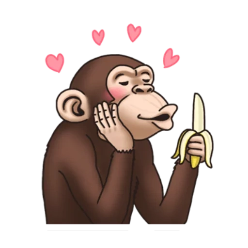 monyet dengan hidung, keheranan monyet, monyet jatuh cinta, kera gila gratis