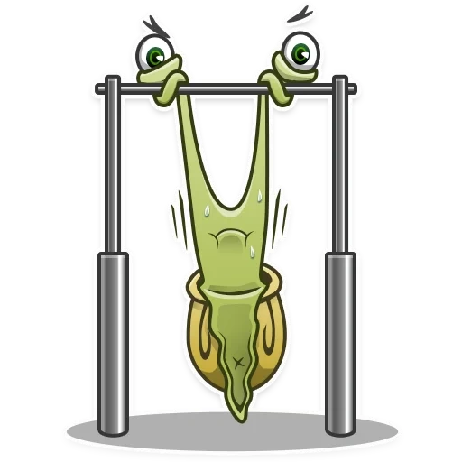 cactus, a snail, frog pattern, frog barbell, dumbbell frog