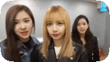 rose noir, rose noire, fox blackpink, lisa blackpink, moments drôles jenny blackpink