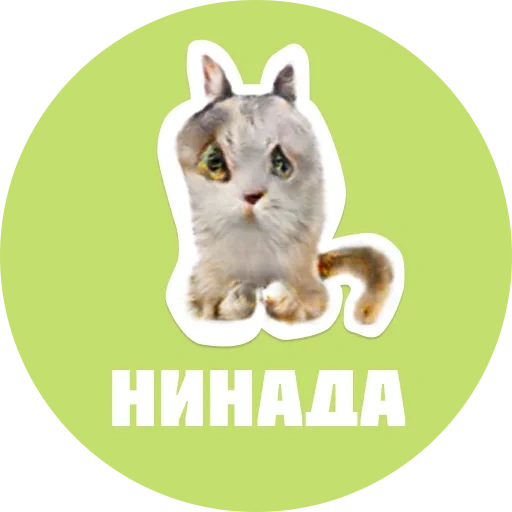 cat, seal, cat, cats are classmates, seal stickers look good