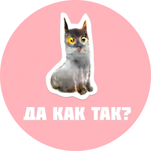 cats, les animaux sont mignons, phoque avec inscription, stickers chat sibérien