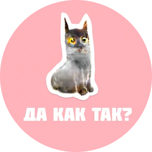 kucing, hewan hewan itu lucu, catcal dengan prasasti, stiker kucing siberia