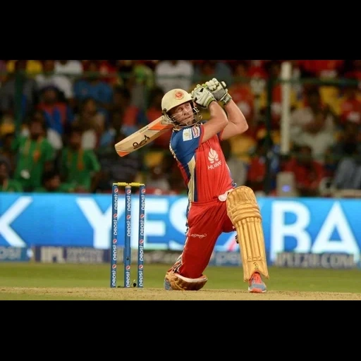 ipl, rcb, grillo, trofeo campeón, ab de villiers