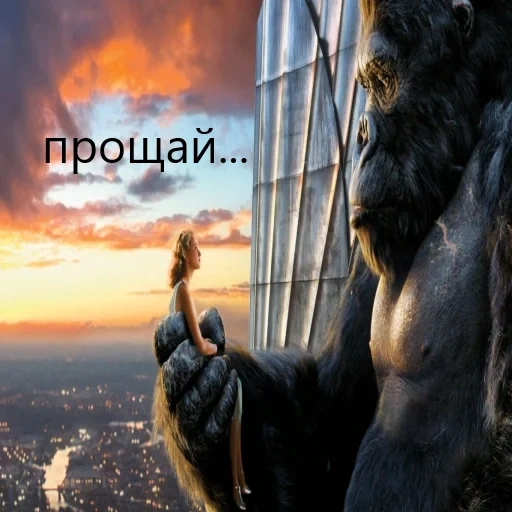 about the soul, king kong, there is no soul of god, god whose soul cries, chicago divergent