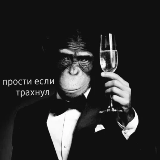 обезьяна бокалом, обезьяна смокинге, мем великий гэтсби, обезьяна костюме бокалом, обезьяна бокалом пиджаке прости если