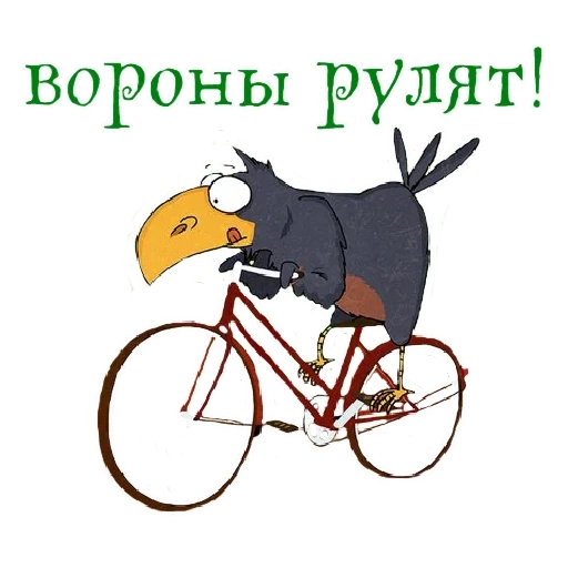 crow, on a bicycle, rides a bicycle, bird of a bicycle, cycling illustration
