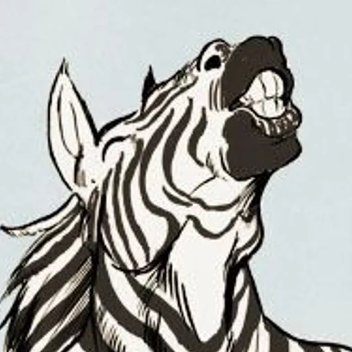 zebra, junge, zebrakopf, zebra schwarz weiß, stilisierter zebra