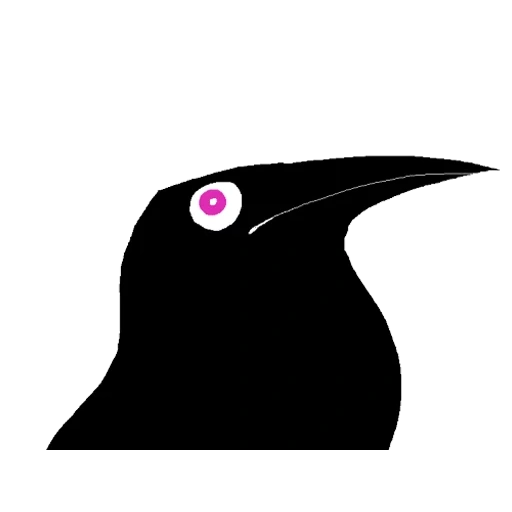 crow, crow bird, vector beak of crow, silhouette of bird head, pop art blackbird