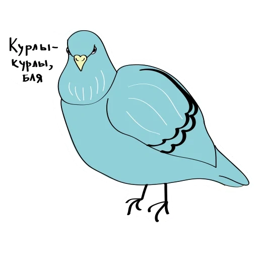 kurly, pássaro pombado, o pássaro é azul, o pombo é engraçado, pássaro de desenho animado