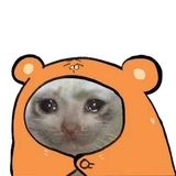 Crying Cat