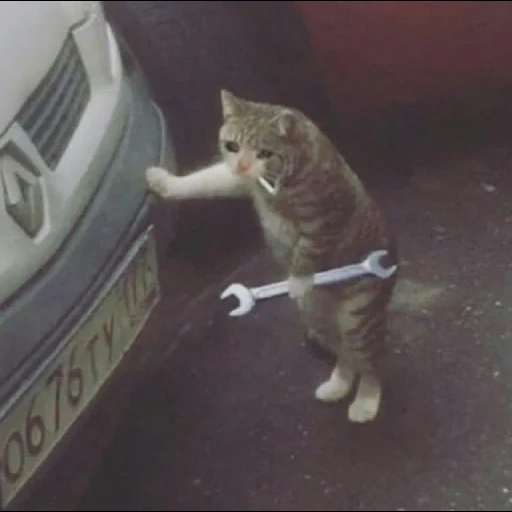 cat, the cat is wretched, the cat repair the car, the cat with a wrench, cat with a wrench with a cigarette