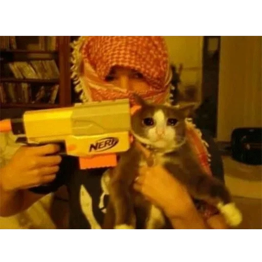 nerf, cursed cat, nerf blaster, lolcat language, бластер nerf n-strike barrel break ix-2