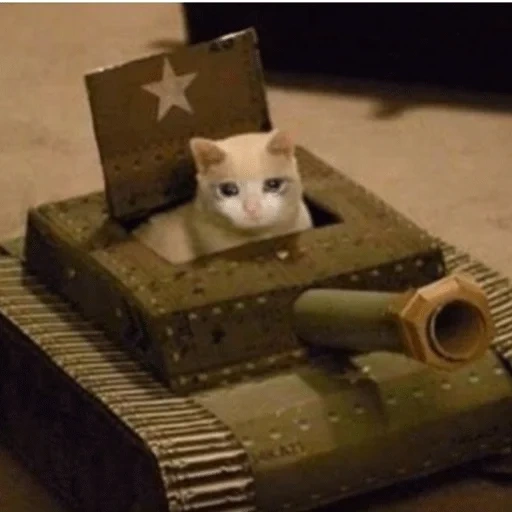 steam, танк кот, кот танке, кот танкист, танк картона