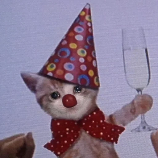 кот, игрушка, плачущий кот, кот днем рождения, котик праздничном колпаке